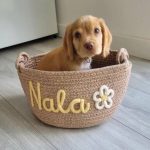 Personalized Pet Toy Basket – Custom Woven Storage Basket with Name, Dog or Cat Toy Organizer, Pet Gift Basket