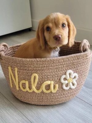Personalized Pet Toy Basket – Custom Woven Storage Basket with Name, Dog or Cat Toy Organizer, Pet Gift Basket