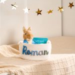 Personalized Woven Basket – Custom Name Storage Basket for Baby Toys, Nursery Organizer or Pet Toy Bin, Handmade Gift